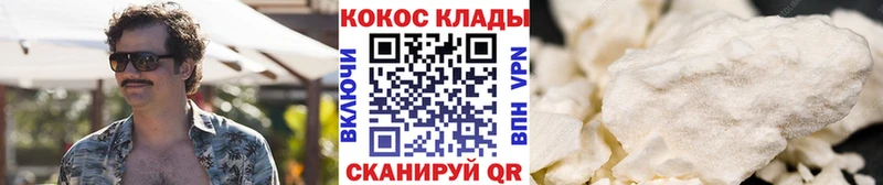 COCAIN Fish Scale  Купить где  Городище 